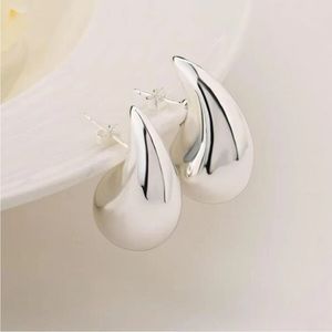 Silver drop earrings NWOT